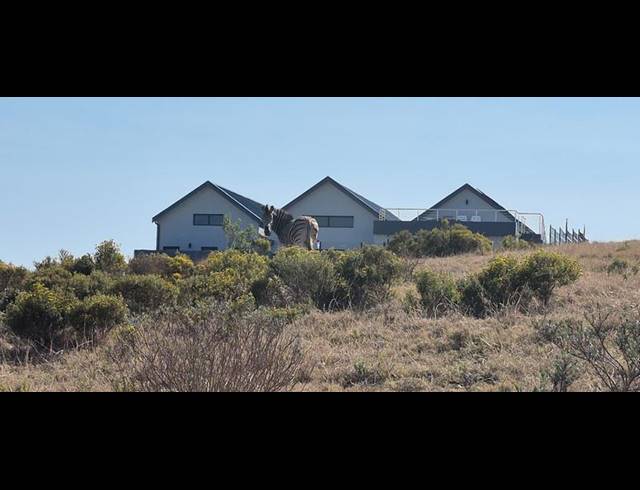 LAND FOR SALE IN OUTENIQUASBOSCH